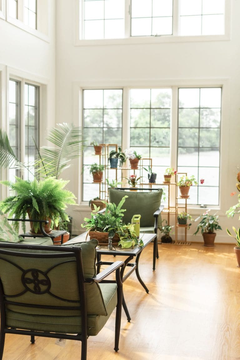 sunroom filled with plant