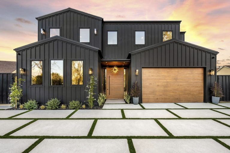 Modern black house